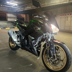 Kawasaki Z250 ABSスペシャルエディション
の画像