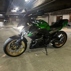 Kawasaki Z250 ABSスペシャルエディション
の画像