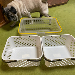プラスチックかご3個の画像