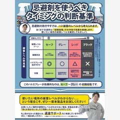 駆除名人 鳩よけ スプレータイプ 鳩用忌避剤 鳥よけ カラスよけ 天然香料 強力の画像