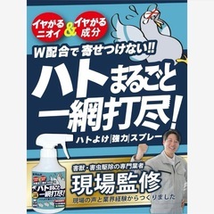 駆除名人 鳩よけ スプレータイプ 鳩用忌避剤 鳥よけ カラスよけ 天然香料 強力の画像
