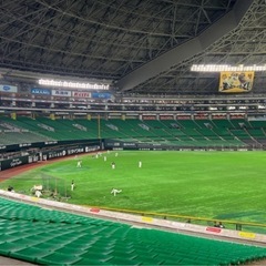 ホークスチケットの画像