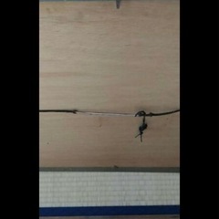 大きすぎる額　　額縁157×69cmの画像