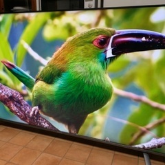 SUNRIZE 4K 65インチ 65型 TV65-4K-2-BK 2019年の画像