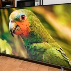 SUNRIZE 4K 65インチ 65型 TV65-4K-2-BK 2019年の画像