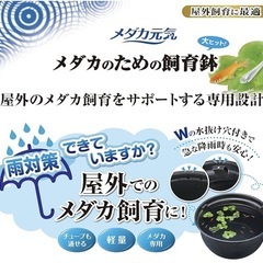 メダカ鉢の画像