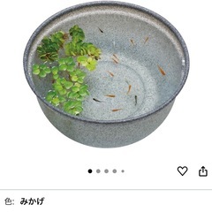 メダカ鉢の画像
