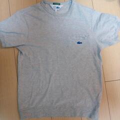 ラコステ Tシャツ 3サイズ ライトグレーの画像