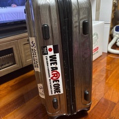 大型キャリーバックの画像