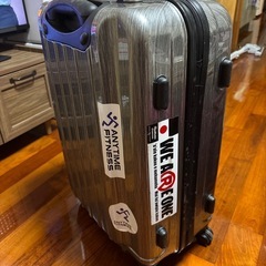 大型キャリーバックの画像