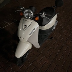 ホンダ　トゥデイF AF67  低走行の画像