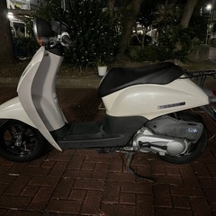 ホンダ　トゥデイF AF67  低走行の画像