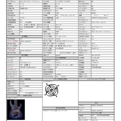 Combat Custom Guitars / フルオーダーベース　レフティ(左利き用)の画像