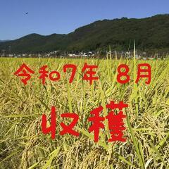 ネット決済① 令和7年産 高知県産 米ぬか10㎏(袋込み)の画像