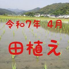 ネット決済① 令和7年産 高知県産 米ぬか10㎏(袋込み)の画像