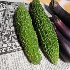 野菜の画像