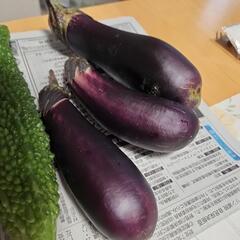 野菜の画像