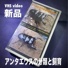 VHSビデオ オオクワガタビデオ３点セットの画像