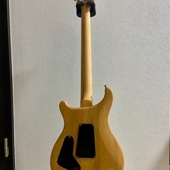 Paul Reed Smith SE CUSTOM 24の画像