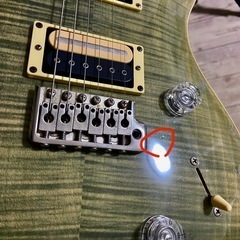 Paul Reed Smith SE CUSTOM 24の画像