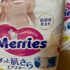 メリーズ　ビッグ　大容量　50枚入り　まとめ売り　水遊び　 水あそびパンツ　男の子用　プール
の画像
