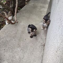 生後２カ月くらいです