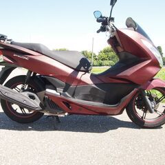 人気PCX125実働富山、石川、金沢の画像