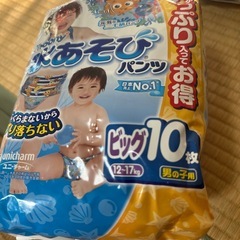 メリーズ　ビッグ　大容量　50枚入り　まとめ売り　水遊び　 水あそびパンツ　男の子用　プール
の画像