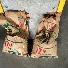 木炭　炭　スミ　バーベキューで大活躍の画像