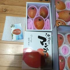 マンゴー　2kgの画像