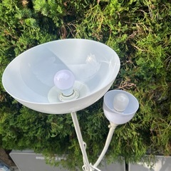 現狀品の画像