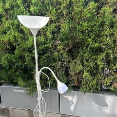 現狀品の画像