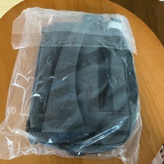 Aer Travel Sling 2 後期型 【新品未使用】の画像