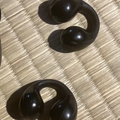 ジャンク　イヤホンの画像