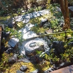 世田谷区 裏千家茶道教室 小狸庵 生徒さん募集中_初心者から経験者までの画像