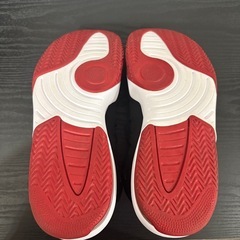 NIKE (ナイキ) JORDAN MAX AURA 28.0cmの画像