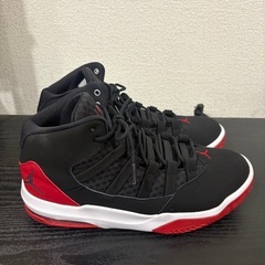 NIKE (ナイキ) JORDAN MAX AURA 28.0cmの画像