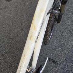 高級自転車の画像