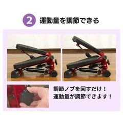 健康ステッパー ナイスデイの画像