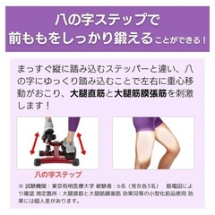 健康ステッパー ナイスデイの画像