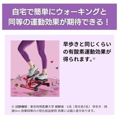 健康ステッパー ナイスデイの画像