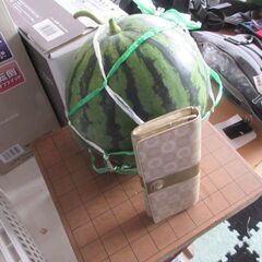 中山のスイカ　中玉　無人販売ですの画像