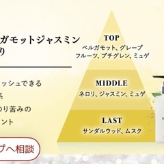 【未使用品】オールインワンクリームシャンプーKAMIKA（２本）の画像