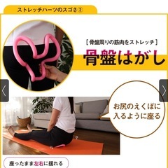 保阪尚希プロデュース　ストレッチハーツの画像