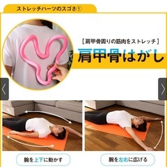 保阪尚希プロデュース　ストレッチハーツの画像