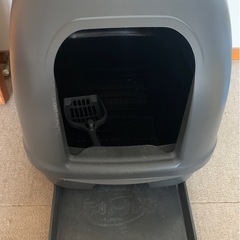 猫トイレの画像