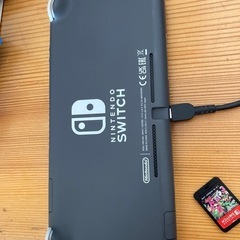 ニンテンドーSwitchライト美品
の画像