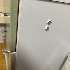 ニトリ　収納ケース 収納家具の画像