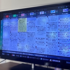 【白飛びあり】TOSHIBA REGZA テレビの画像