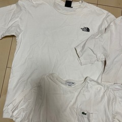 ノースフェイス　tommy ラコステ　４点の画像